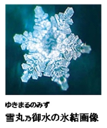 雪丸乃御水の氷結画像